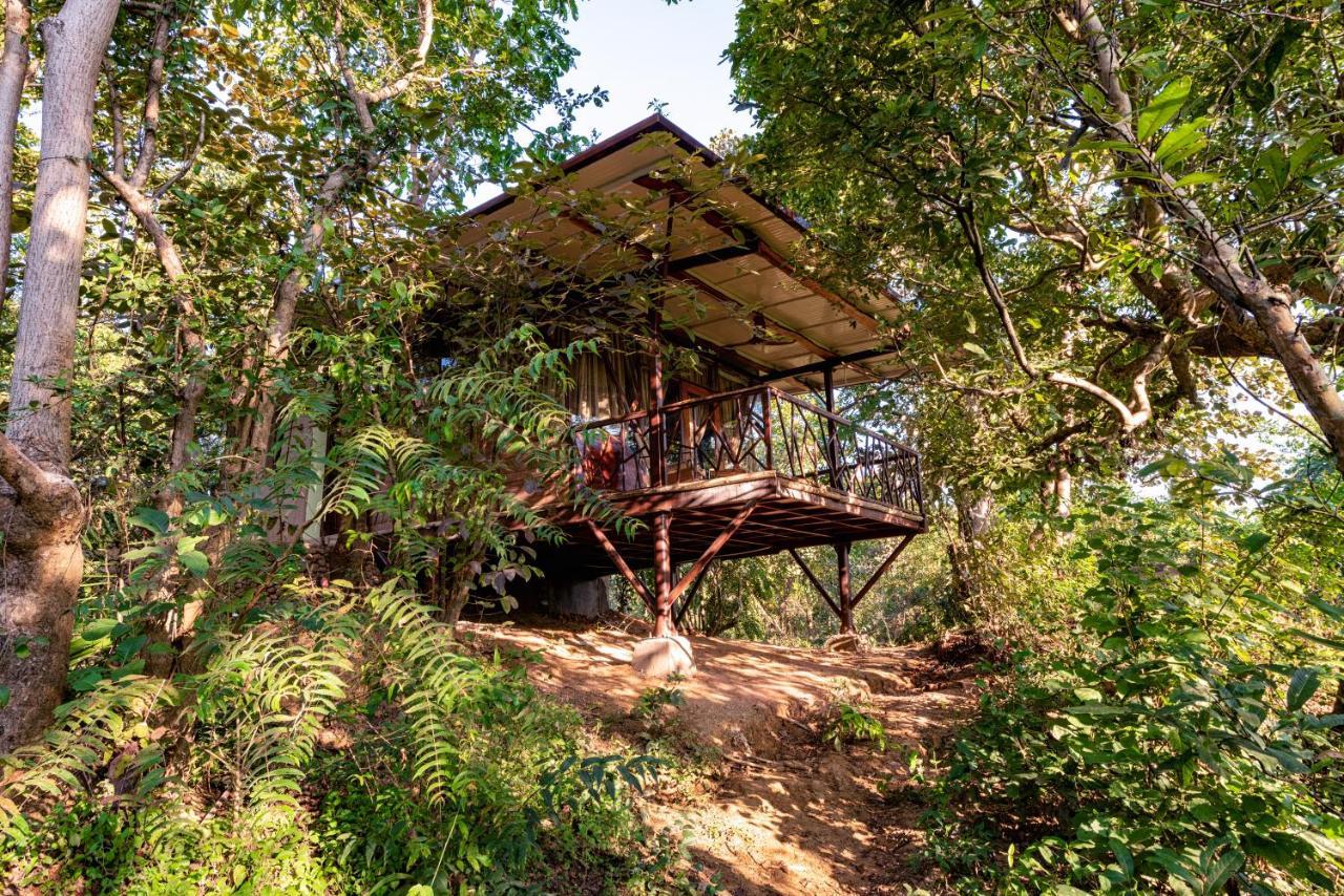 Kanha Jungle Camp Exteriér fotografie