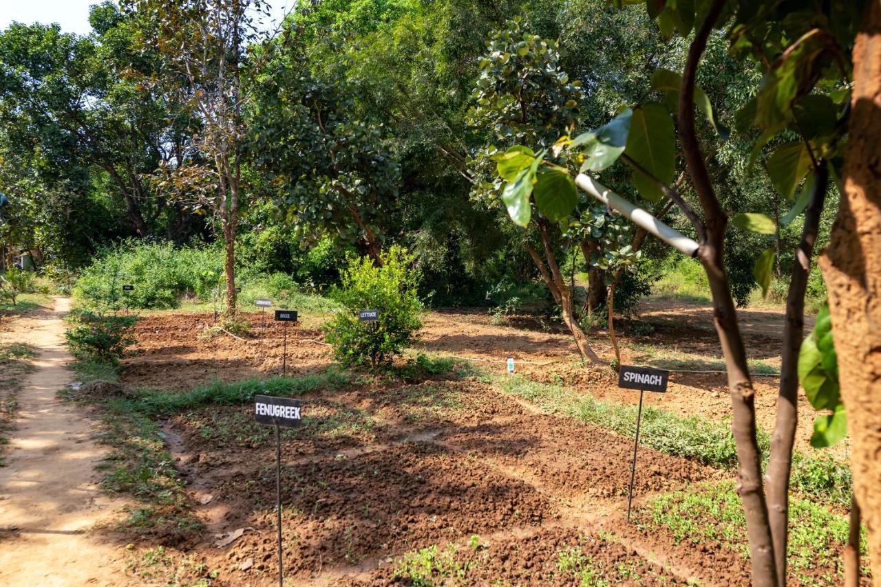 Kanha Jungle Camp Exteriér fotografie