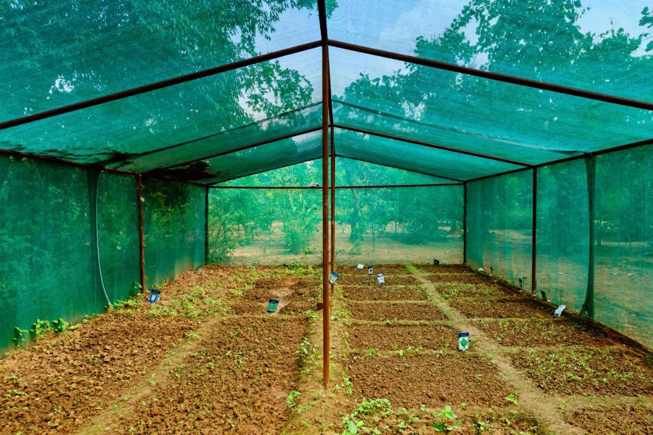 Kanha Jungle Camp Exteriér fotografie