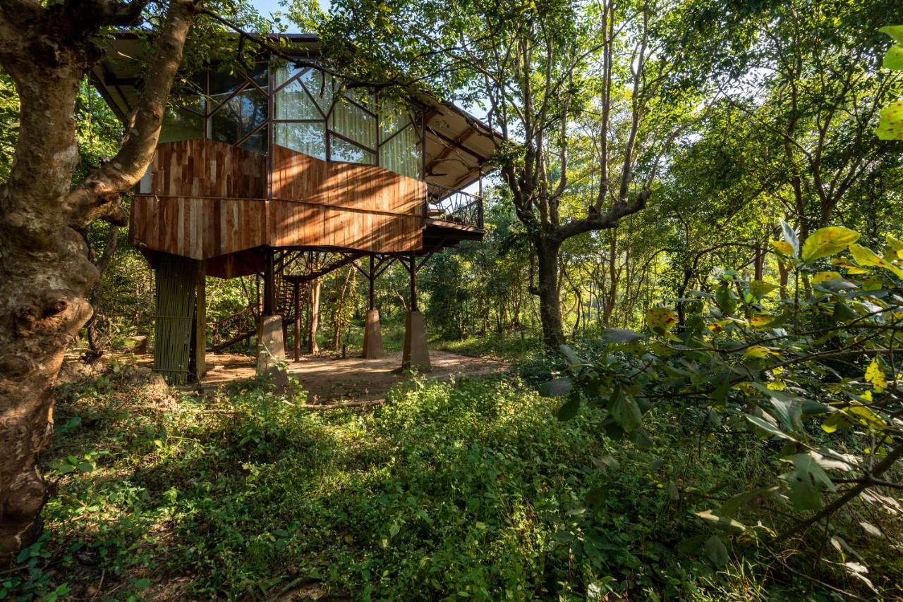 Kanha Jungle Camp Exteriér fotografie