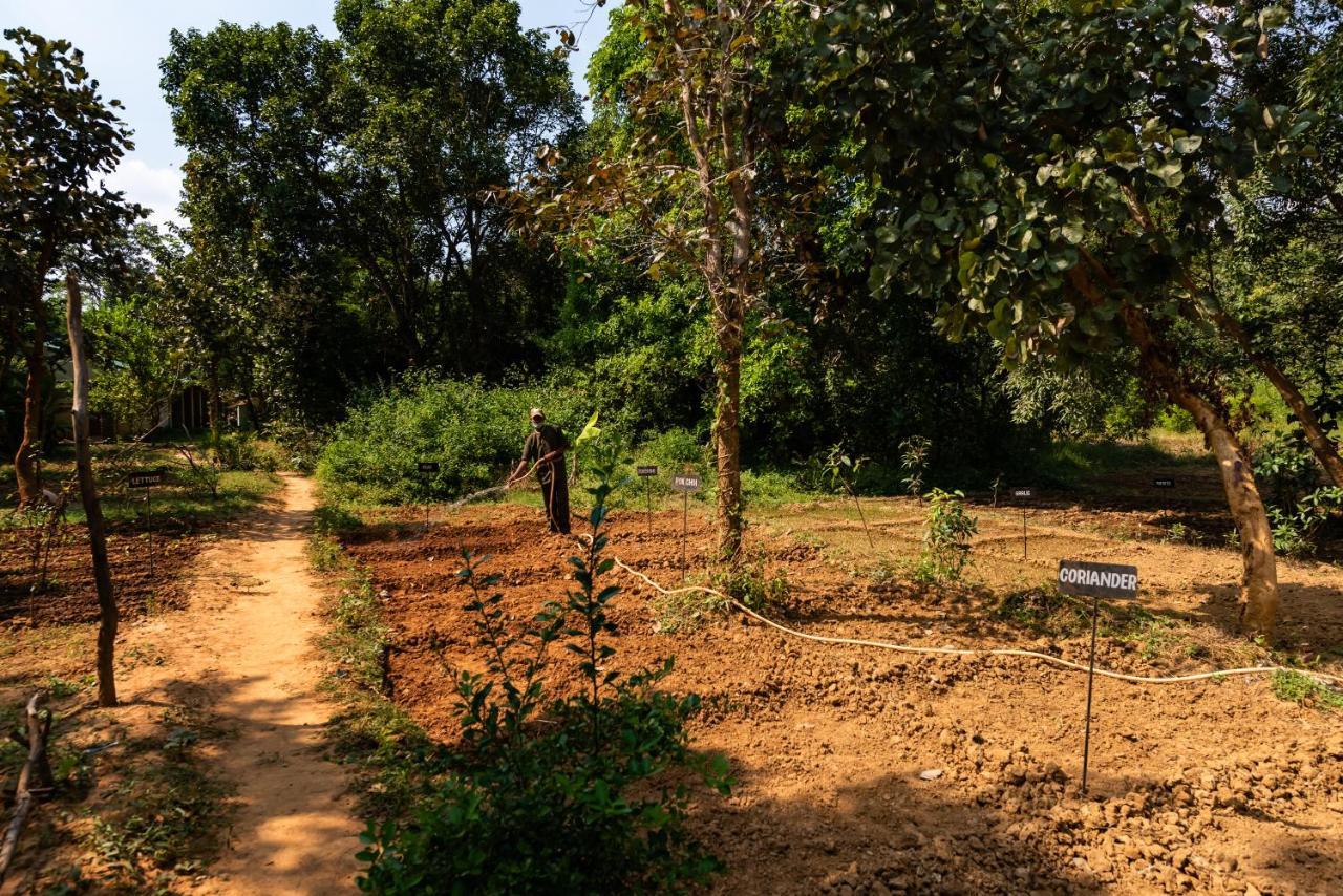 Kanha Jungle Camp Exteriér fotografie